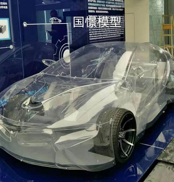 勉县透明车模型